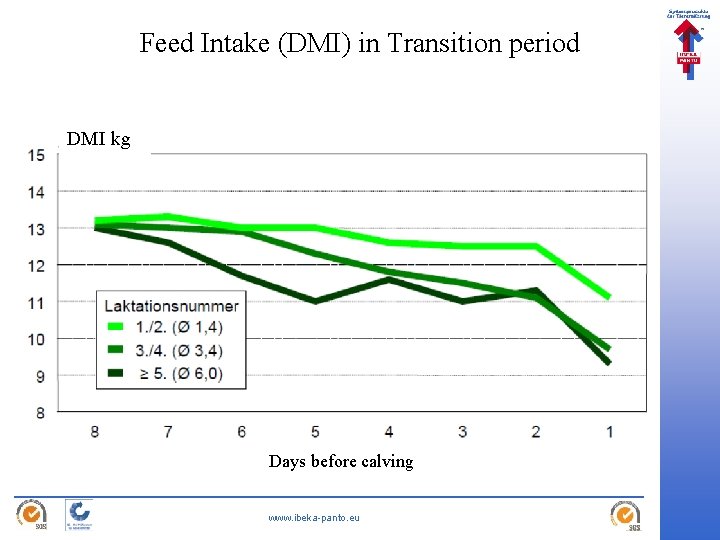 Feed Intake (DMI) in Transition period DMI kg Days before calving www. ibeka-panto. eu