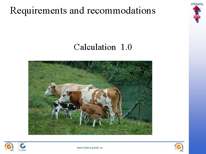 Requirements and recommodations Calculation 1. 0 www. ibeka-panto. eu 