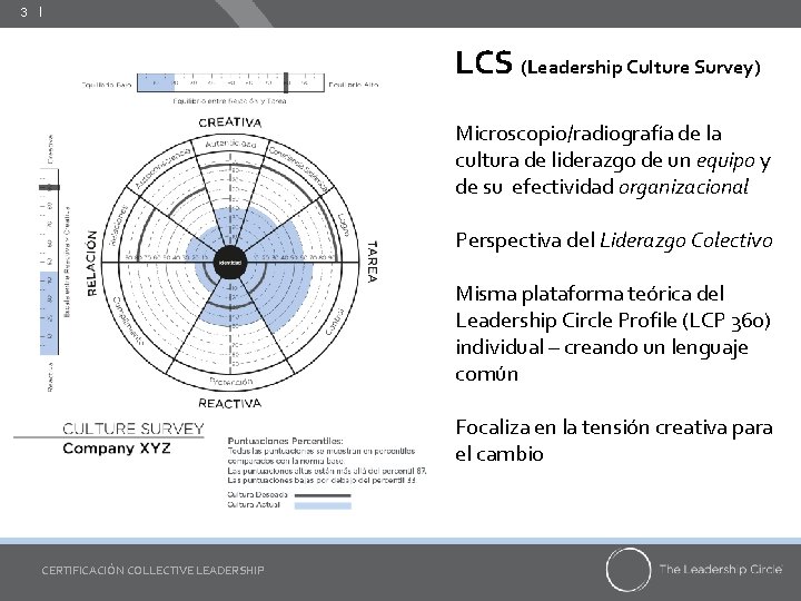 3 ǀ LCS (Leadership Culture Survey) Microscopio/radiografía de la cultura de liderazgo de un