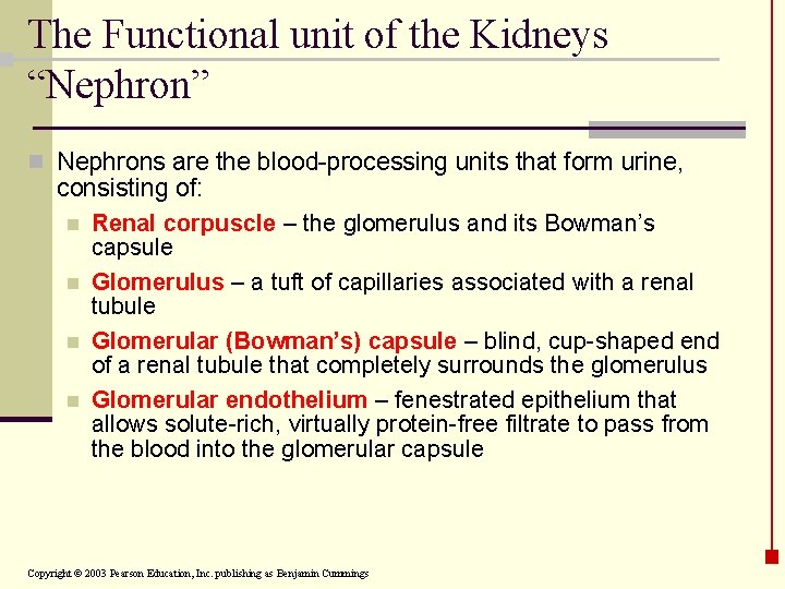 The Functional unit of the Kidneys “Nephron” n Nephrons are the blood-processing units that