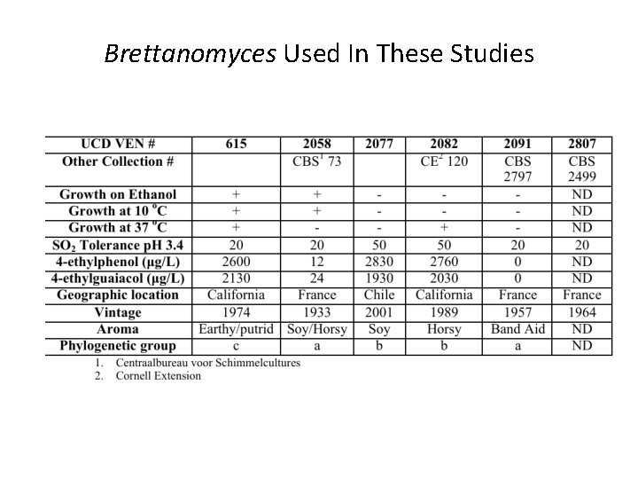 Brettanomyces Used In These Studies 