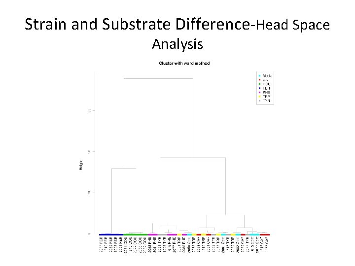 Strain and Substrate Difference-Head Space Analysis 