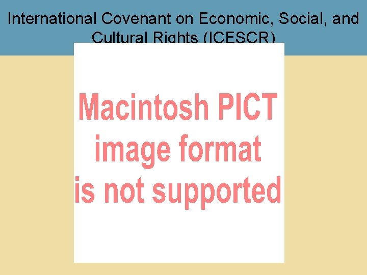International Covenant on Economic, Social, and Cultural Rights (ICESCR) 