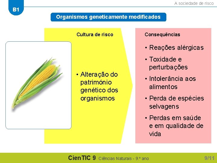 A sociedade de risco B 1 Organismos geneticamente modificados Cultura de risco Consequências •