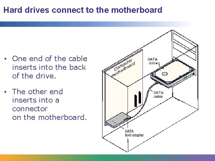 Hard drives connect to the motherboard • One end of the cable inserts into