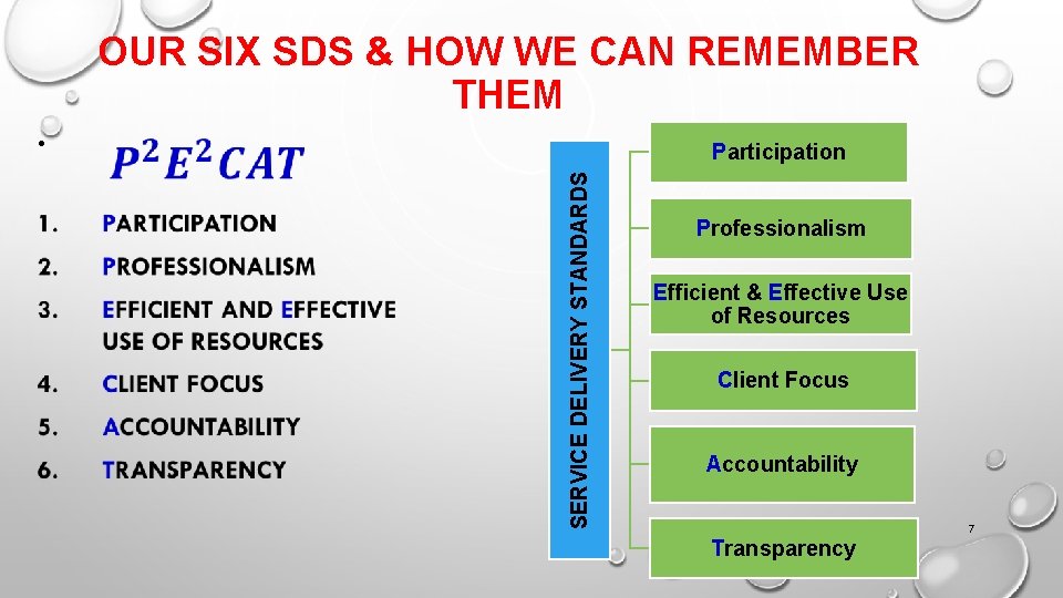 OUR SIX SDS & HOW WE CAN REMEMBER THEM • SERVICE DELIVERY STANDARDS Participation