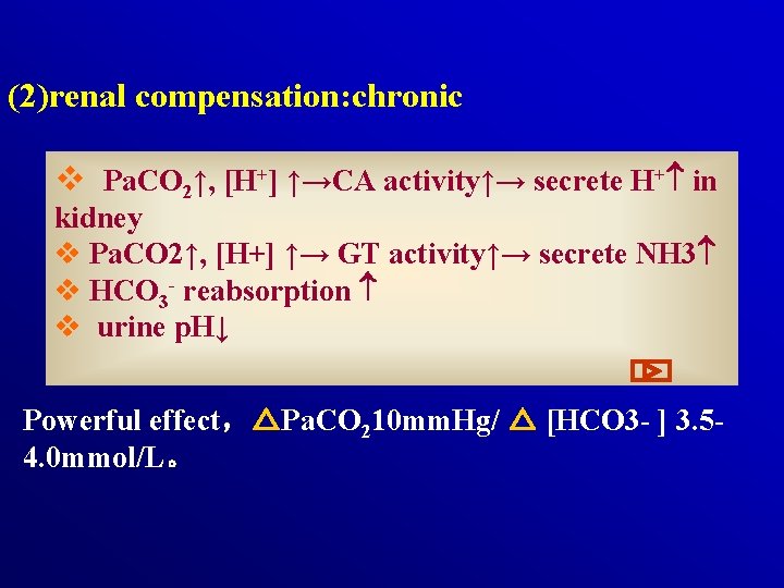 (2)renal compensation: chronic v Pa. CO 2↑, [H+] ↑→CA activity↑→ secrete H+ in kidney