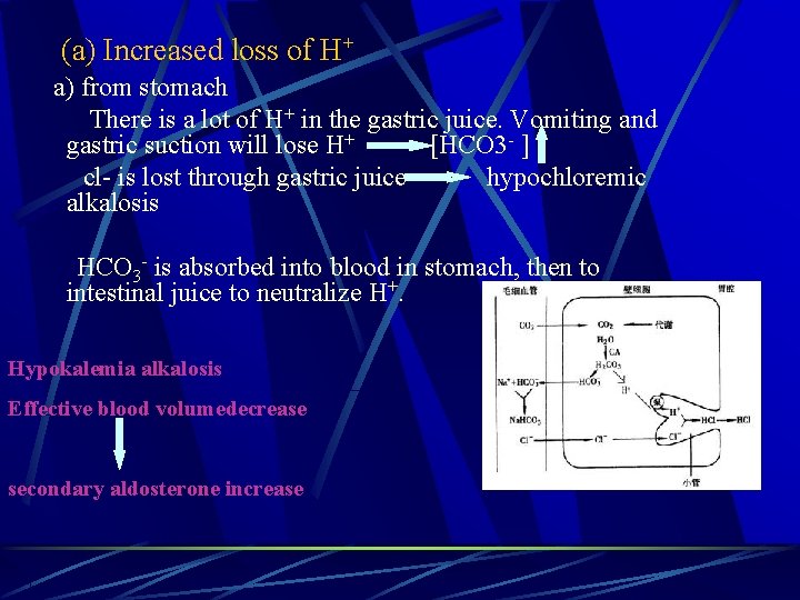 (a) Increased loss of H+ a) from stomach There is a lot of H+