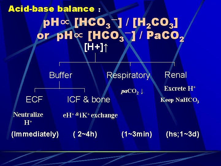 Acid-base balance ： p. H∝ [HCO 3－] / [H 2 CO 3] or p.