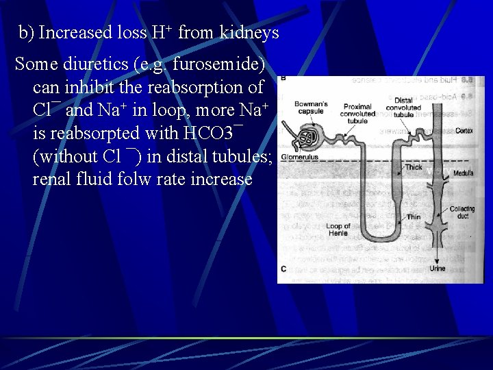 b) Increased loss H+ from kidneys Some diuretics (e. g. furosemide) can inhibit the