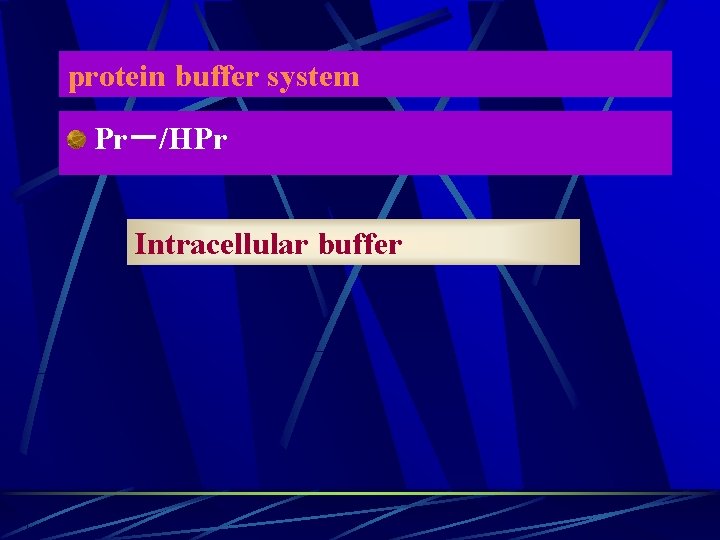 protein buffer system Pr－/HPr Intracellular buffer 