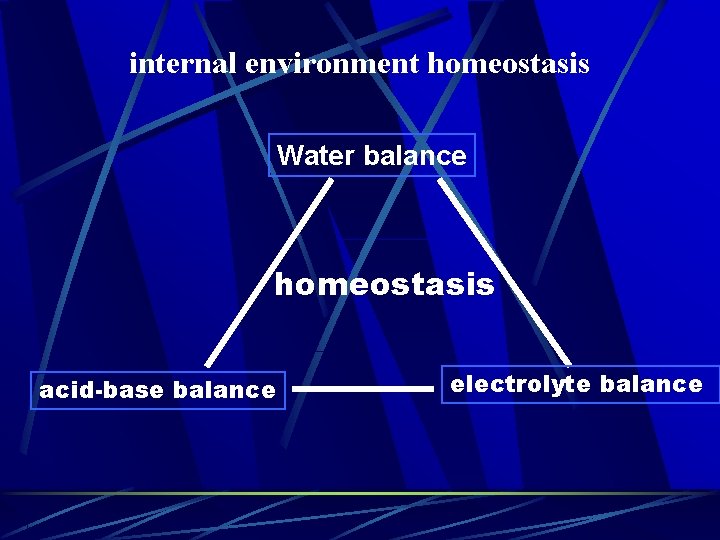 internal environment homeostasis Water balance homeostasis acid-base balance electrolyte balance 