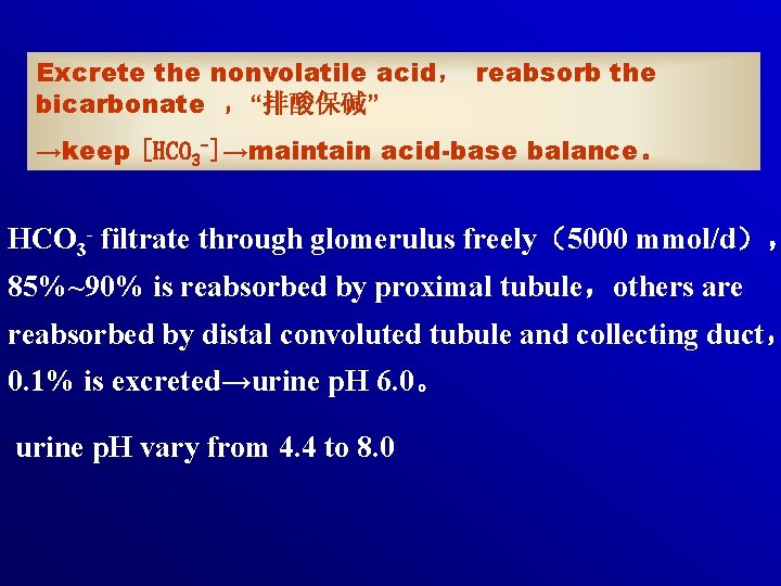 Excrete the nonvolatile acid， reabsorb the bicarbonate ，“排酸保碱” →keep [HCO 3 -]→maintain acid-base balance。