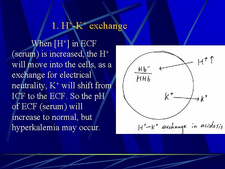 1. H+-K+ exchange When [H+] in ECF (serum) is increased, the H+ will move