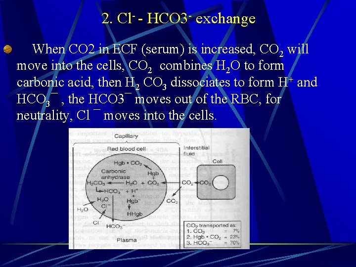 2. Cl- - HCO 3 - exchange When CO 2 in ECF (serum) is