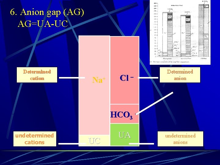 6. Anion gap (AG) AG=UA-UC Determined cation Na+ Cl － Determined anion HCO 3