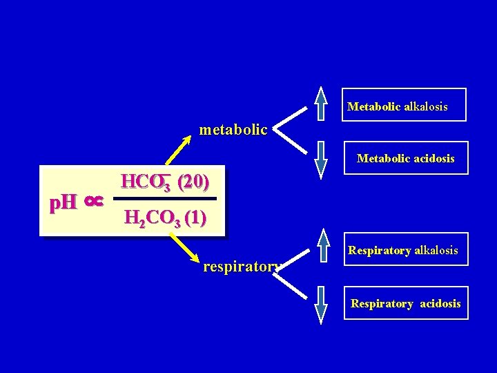 Metabolic alkalosis metabolic Metabolic acidosis p. H ∝ HCO－3 (20) H 2 CO 3