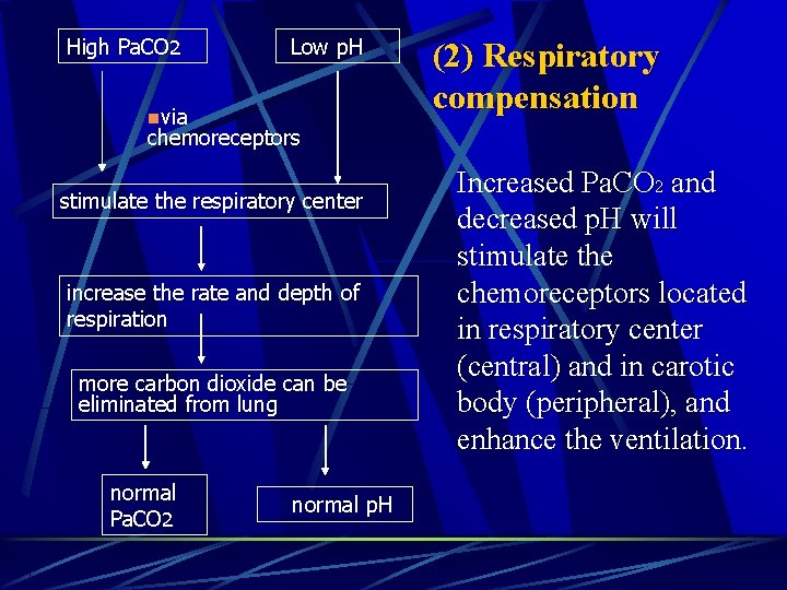 High Pa. CO 2 Low p. H nvia (2) Respiratory compensation chemoreceptors stimulate the
