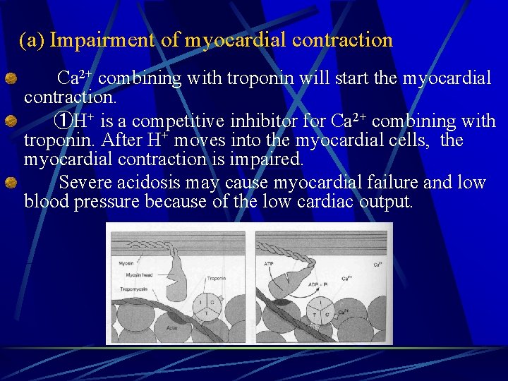 (a) Impairment of myocardial contraction Ca 2+ combining with troponin will start the myocardial