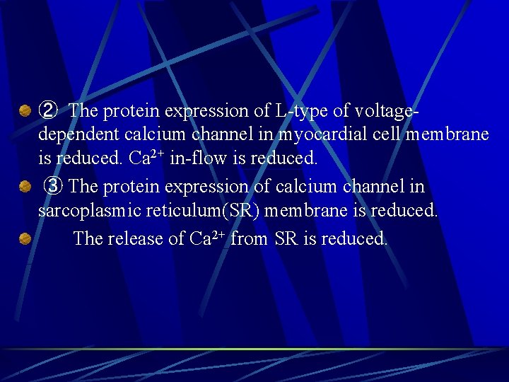 ② The protein expression of L-type of voltagedependent calcium channel in myocardial cell membrane
