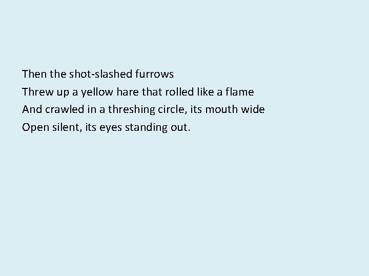 Then the shot-slashed furrows Threw up a yellow hare that rolled like a flame