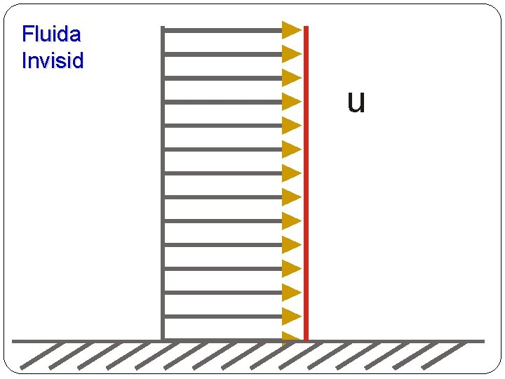 Fluida Invisid u 