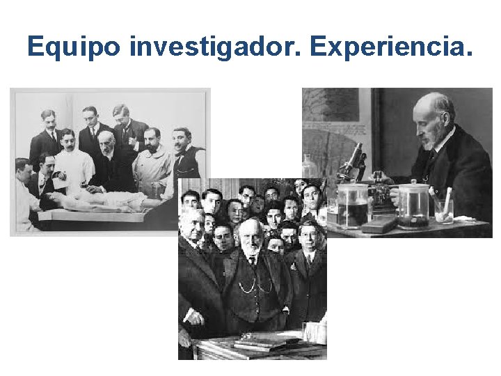 Equipo investigador. Experiencia. 