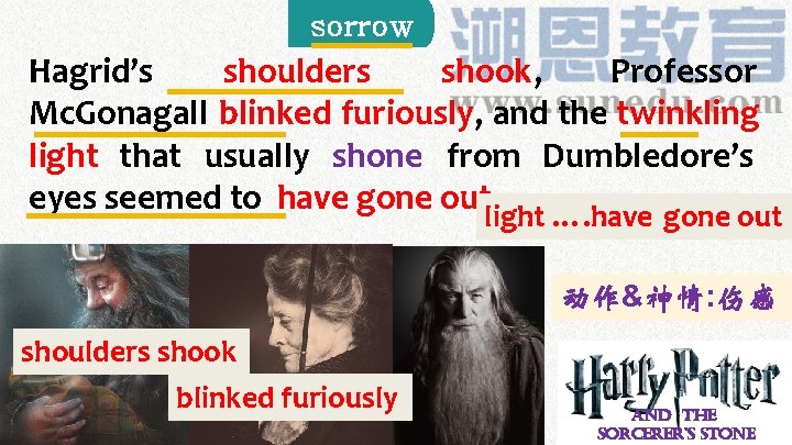 sorrow Hagrid’s shoulders shook, Professor Mc. Gonagall blinked furiously, and the twinkling light that