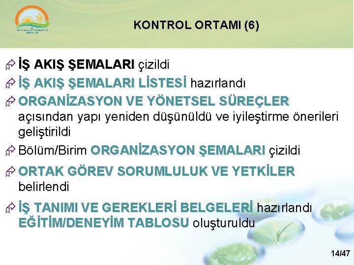 KONTROL ORTAMI (6) İŞ AKIŞ ŞEMALARI çizildi İŞ AKIŞ ŞEMALARI LİSTESİ hazırlandı ORGANİZASYON VE