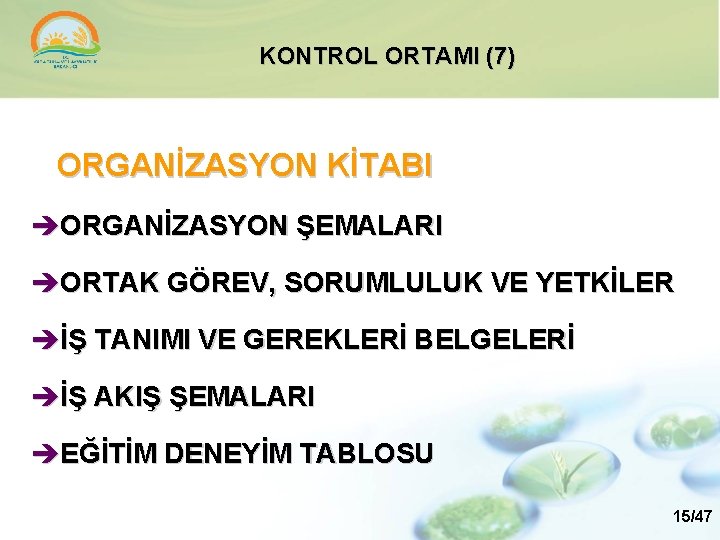 KONTROL ORTAMI (7) ORGANİZASYON KİTABI ORGANİZASYON ŞEMALARI ORTAK GÖREV, SORUMLULUK VE YETKİLER İŞ TANIMI