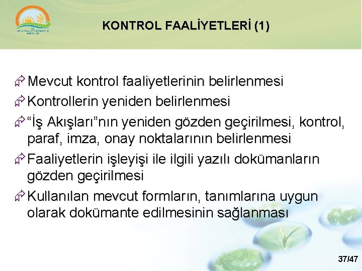 KONTROL FAALİYETLERİ (1) Mevcut kontrol faaliyetlerinin belirlenmesi Kontrollerin yeniden belirlenmesi “İş Akışları”nın yeniden gözden