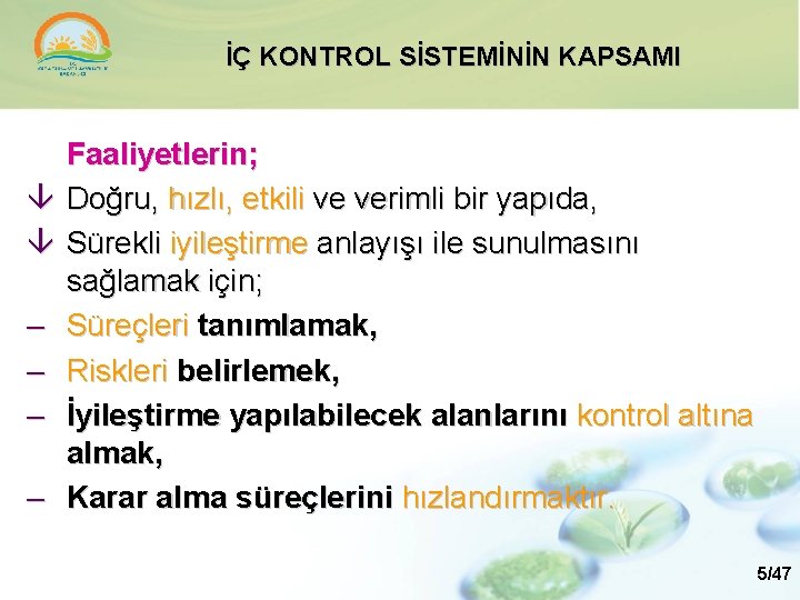 İÇ KONTROL SİSTEMİNİN KAPSAMI – – Faaliyetlerin; Doğru, hızlı, etkili ve verimli bir yapıda,