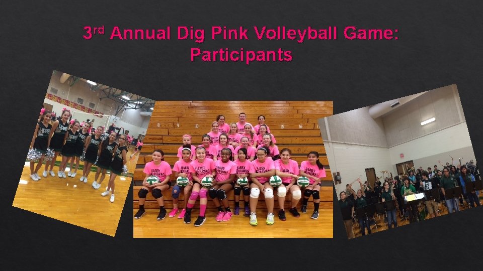 3 rd Annual Dig Pink Volleyball Game: Participants 