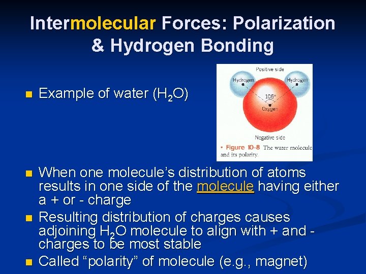 Intermolecular Forces: Polarization & Hydrogen Bonding n Example of water (H 2 O) n