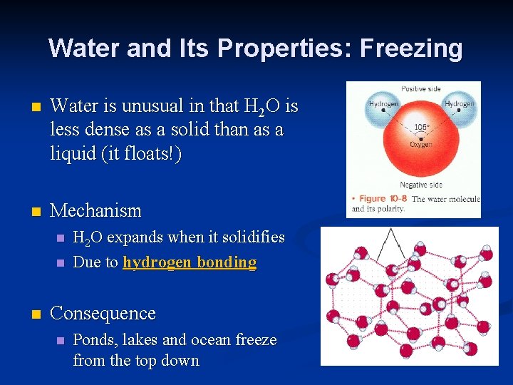 Water and Its Properties: Freezing n Water is unusual in that H 2 O