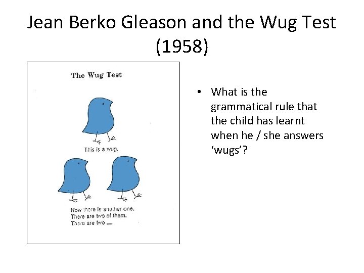 Jean Berko Gleason and the Wug Test (1958) • What is the grammatical rule