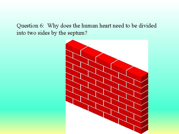 Question 6: Why does the human heart need to be divided into two sides