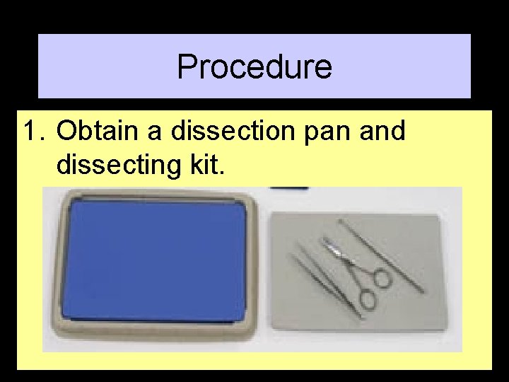 Procedure 1. Obtain a dissection pan and dissecting kit. 