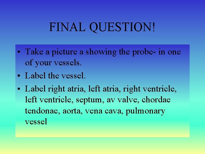 FINAL QUESTION! • Take a picture a showing the probe- in one of your