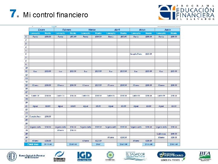 7. Mi control financiero 