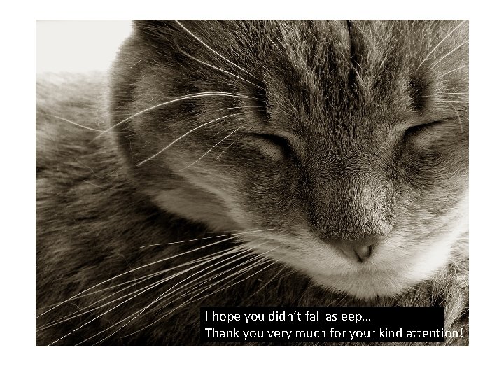 I hope you didn’t fall asleep… Thank you very much for your kind attention!