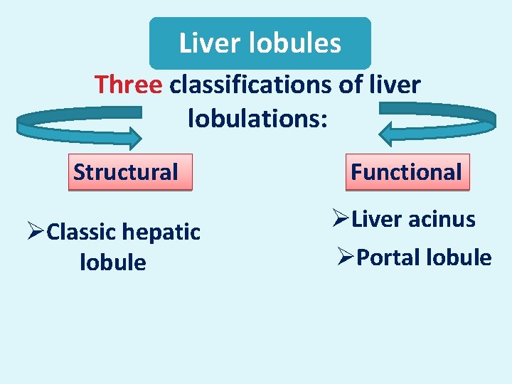 Liver lobules Three classifications of liver lobulations: Structural ØClassic hepatic lobule Functional ØLiver acinus