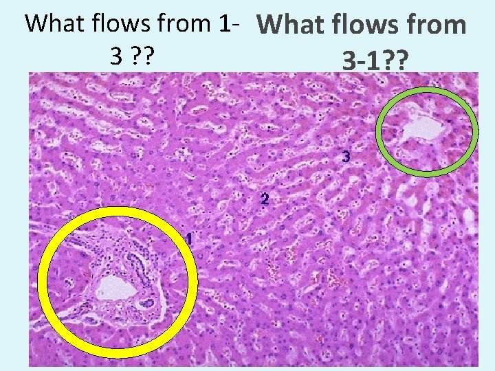 What flows from 1 - What flows from 3 ? ? 3 -1? ?