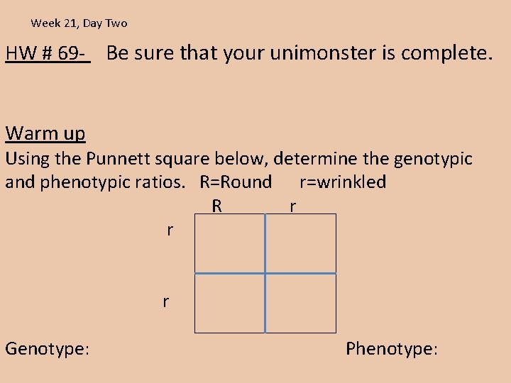 genotypes and phenotypes worksheet 21