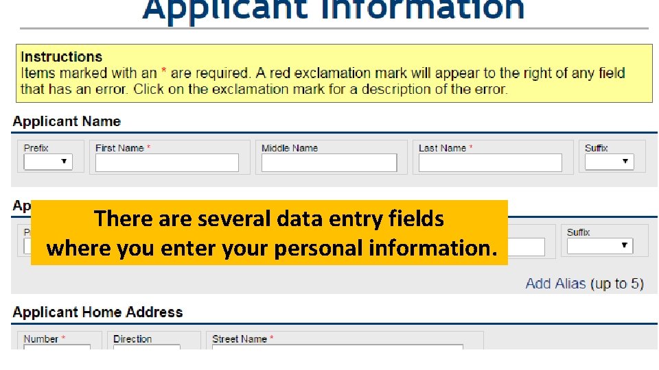 There are several data entry fields where you enter your personal information. 