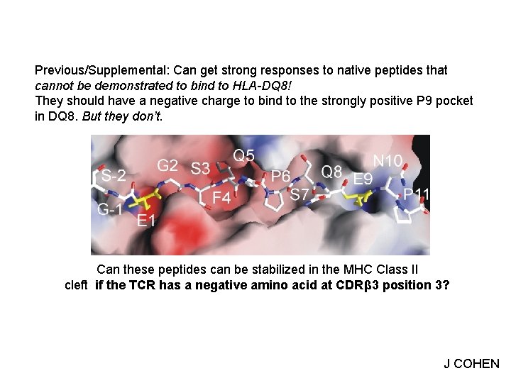 Previous/Supplemental: Can get strong responses to native peptides that cannot be demonstrated to bind