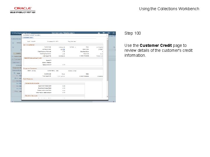 Using the Collections Workbench Step 100 Use the Customer Credit page to review details