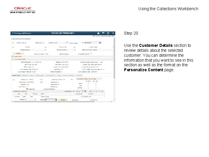 Using the Collections Workbench Step 20 Use the Customer Details section to review details