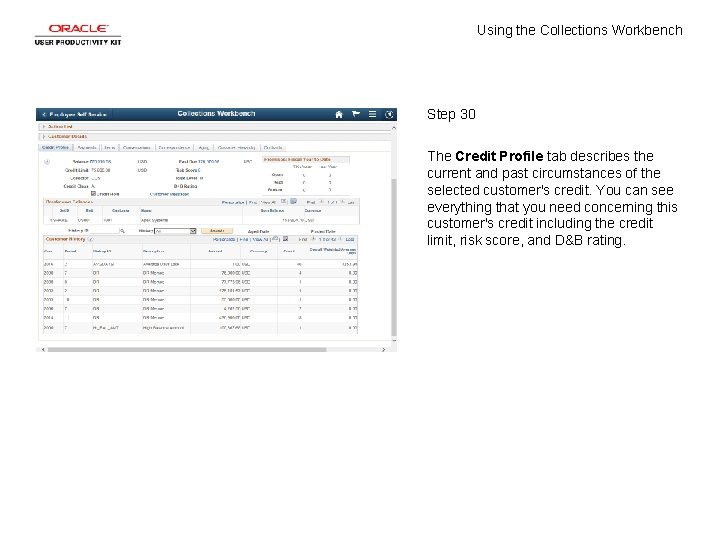 Using the Collections Workbench Step 30 The Credit Profile tab describes the current and