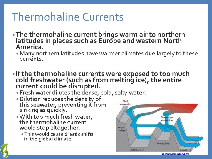Thermohaline Currents • The thermohaline current brings warm air to northern latitudes in places